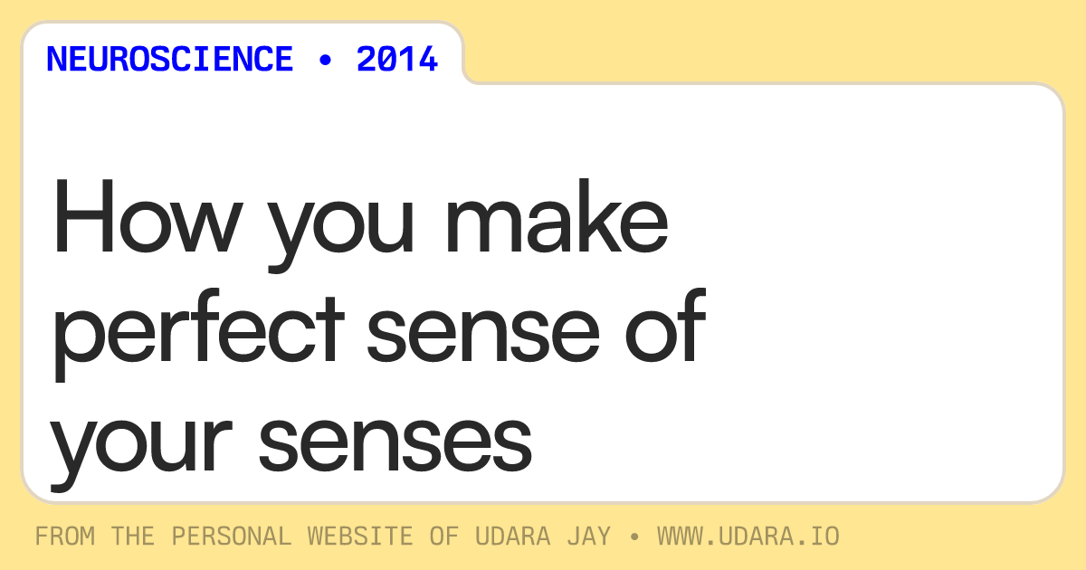 How you make perfect sense of your senses Udara